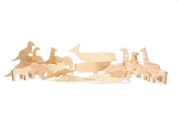 Animales del Mar - Imagen 2