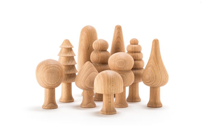 Bosque Natural